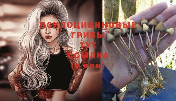 прущие крисы Балабаново